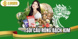 soi-cau-rong-bach-kim