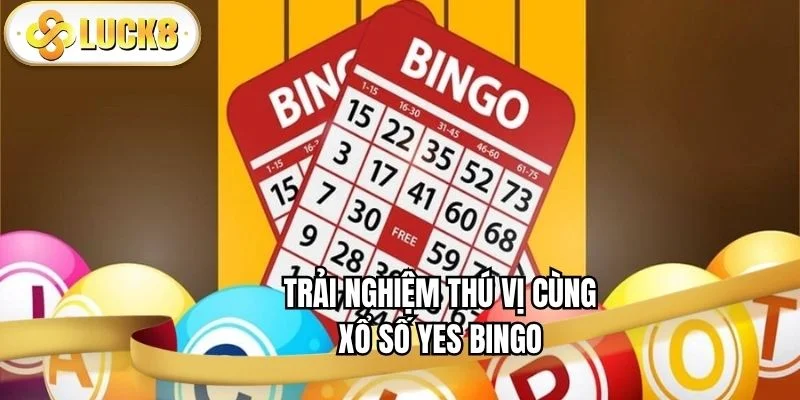 trai-nghiem-thu-vi-cung-yes-bingo